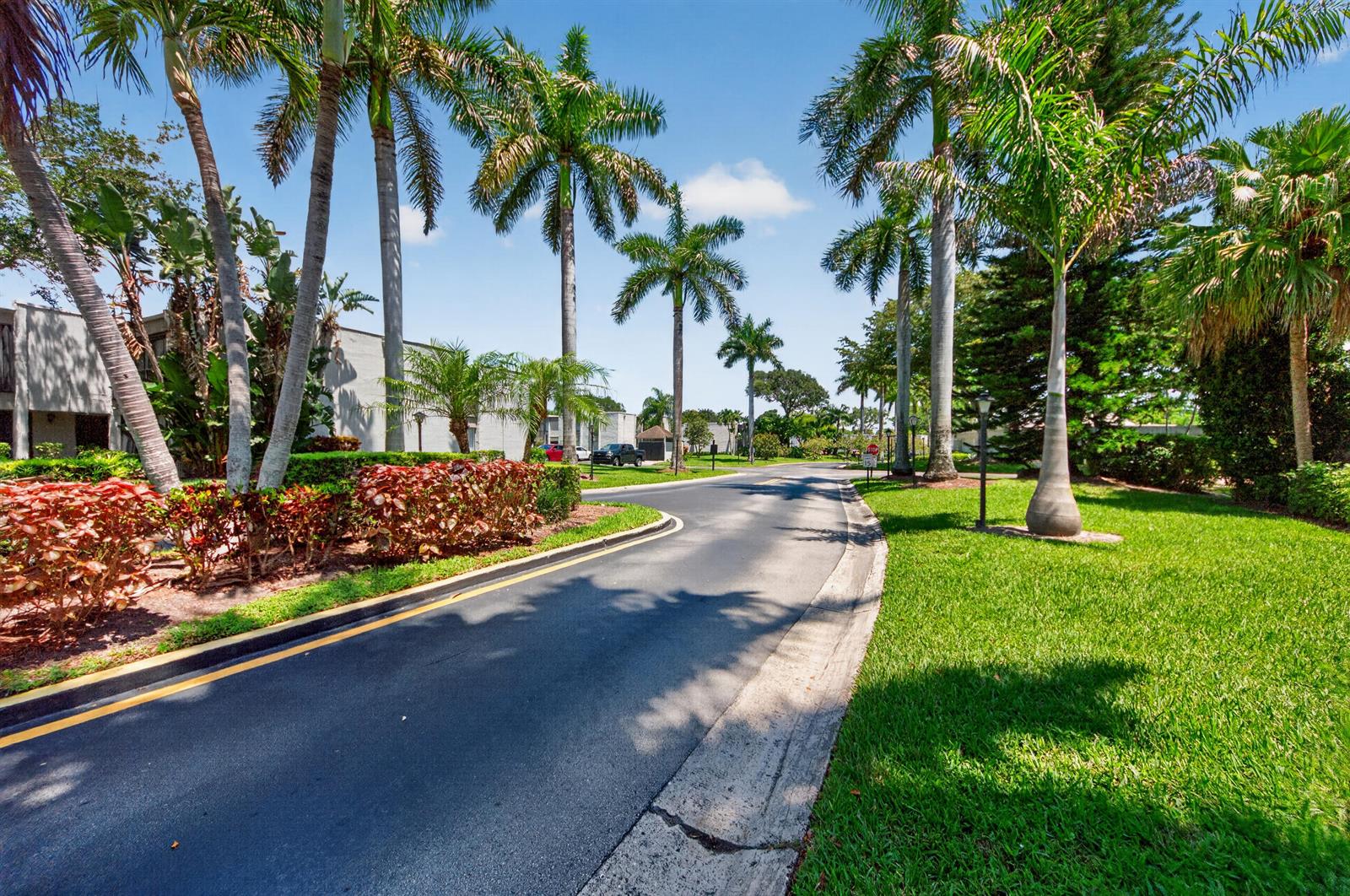 A paved road curves through a residential area lined with tall palm trees and landscaping — 6593 Spring Bottom Way # 137, Boca Raton FL 33433, BOCA RATON, FL