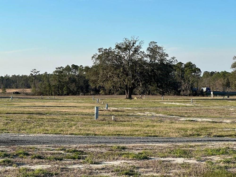 A large, open, grassy lot features a prominent oak tree and several utility hookups — 3773 72ND STREET, LIVE OAK, FL