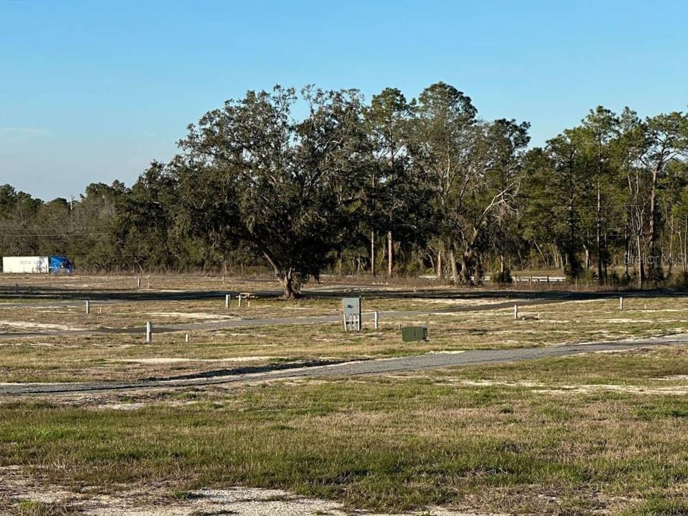 A vacant, grassy lot features a paved road, utility boxes, and mature trees in the background — 3773 72ND STREET, LIVE OAK, FL