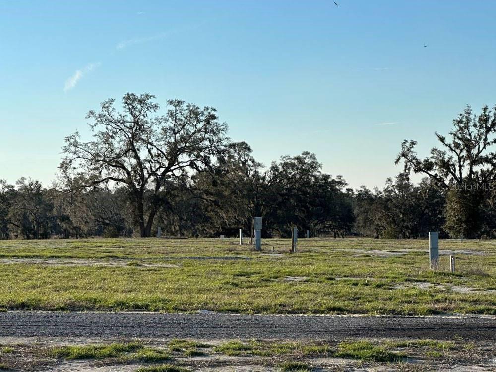 A vacant, grassy lot features utility hookups and mature trees under a clear blue sky — 3773 72ND STREET, LIVE OAK, FL