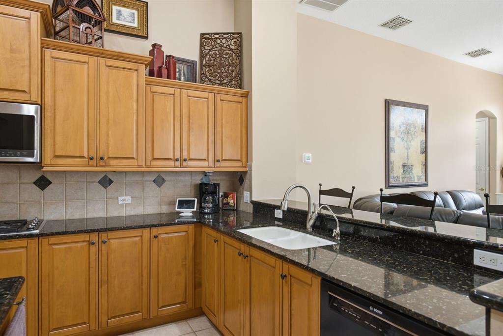 A kitchen features wood cabinets, dark granite countertops, a white sink, and a tiled backsplash — 5442 MILLBROOK WAY, PALM HARBOR, FL