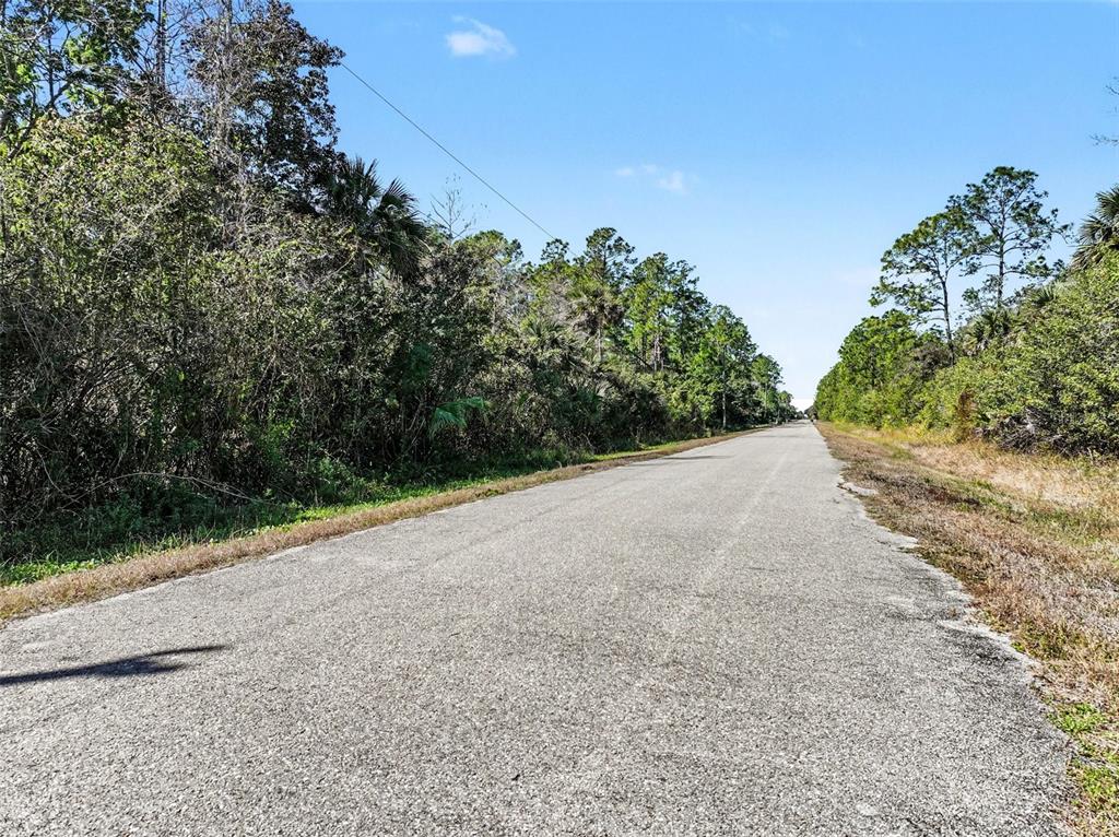 A paved road stretches into the distance between dense trees and brush under a blue sky — 0000 32ND AVENUE SE, NAPLES, FL