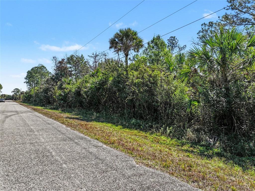 A paved road runs alongside a dense, wooded lot with palm trees and utility lines — 0000 32ND AVENUE SE, NAPLES, FL