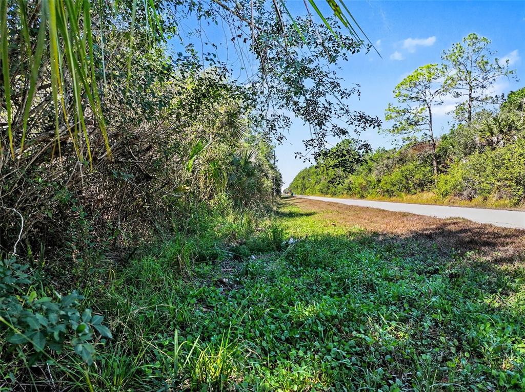 A paved road runs alongside a dense area of trees and low-lying vegetation — 0000 32ND AVENUE SE, NAPLES, FL