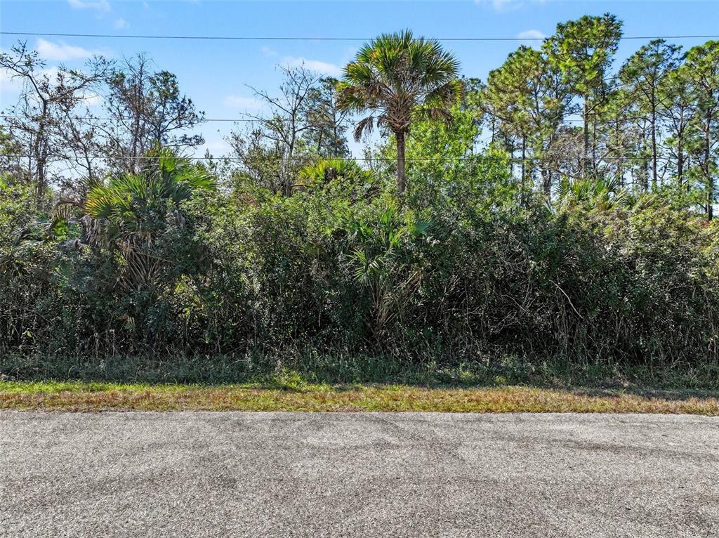 A paved road sits in front of a dense thicket of trees and palm plants — 0000 32ND AVENUE SE, NAPLES, FL