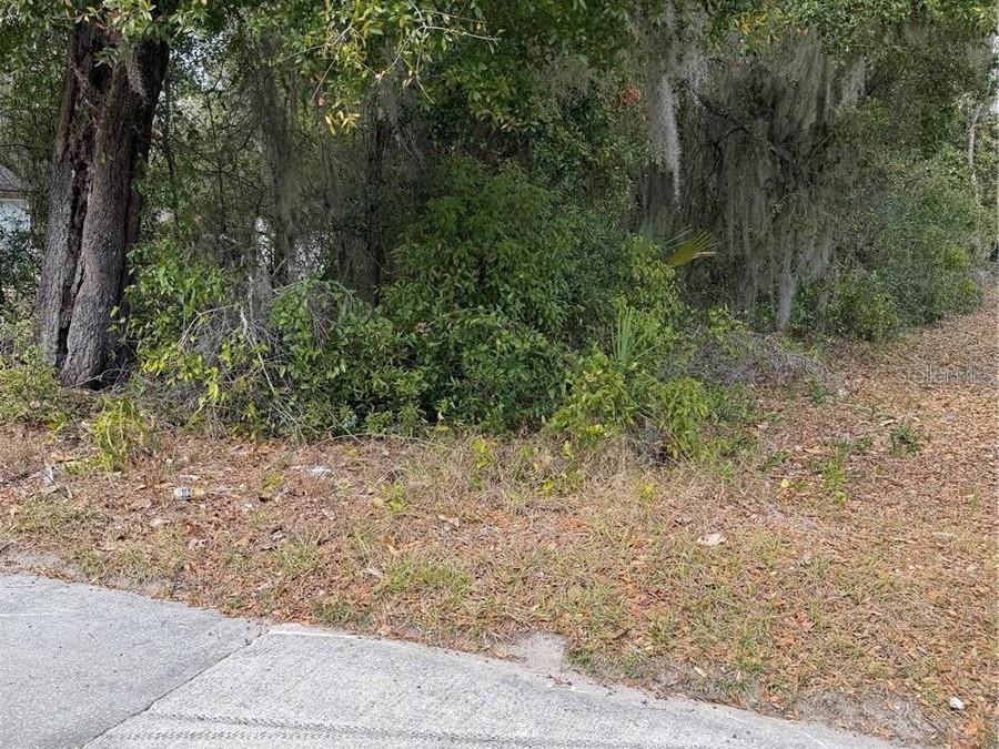 A view of a wooded, undeveloped lot with dense vegetation and trees along a road — SE 65TH AVENUE, HAWTHORNE, FL