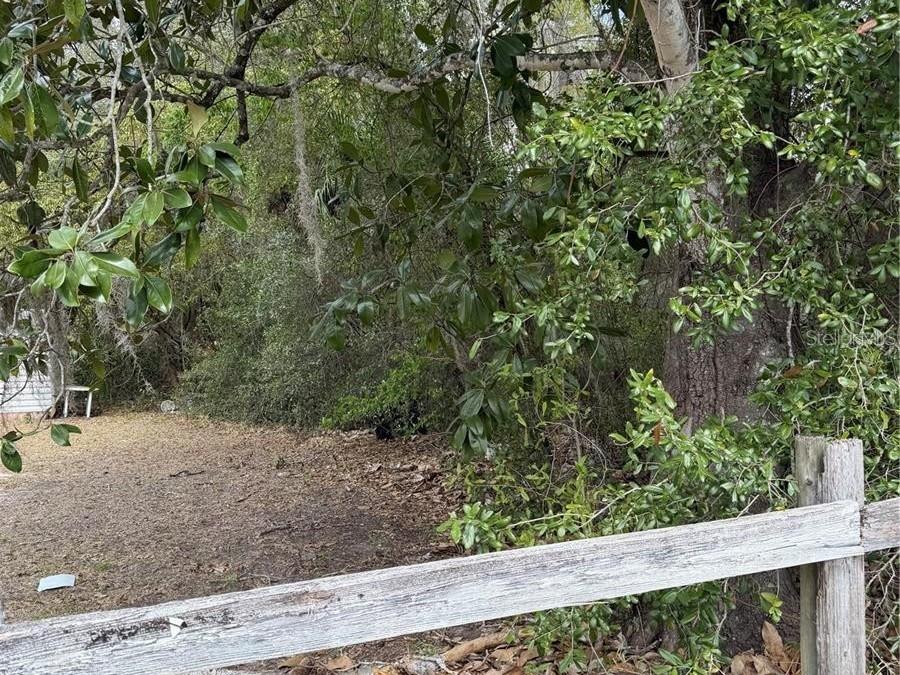 A wooden fence borders a grassy yard with dense trees and foliage in the background — SE 65TH AVENUE, HAWTHORNE, FL