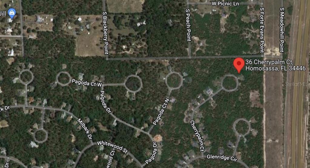 This is a satellite map view showing residential streets and wooded lots in Homosassa, Florida — 36 CHERRYPALM COURT, HOMOSASSA, FL