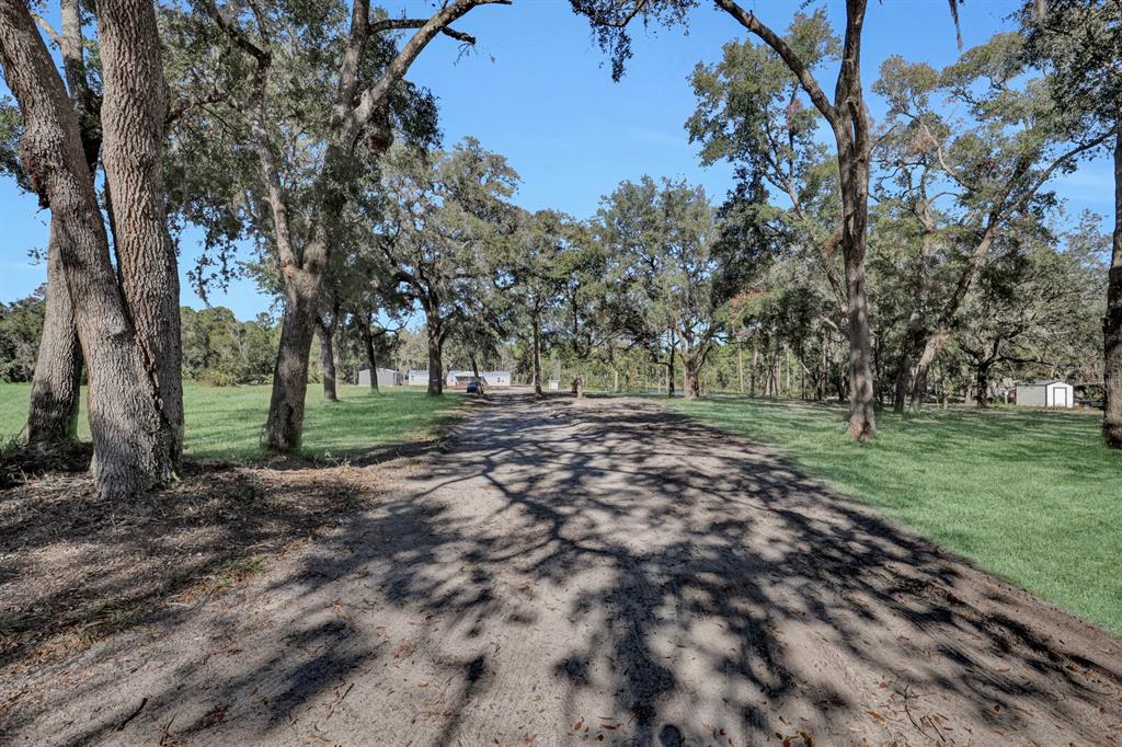 A dirt driveway leads through a grassy, tree-lined property toward a distant house — 141 WOODS ROAD, SAN MATEO, FL