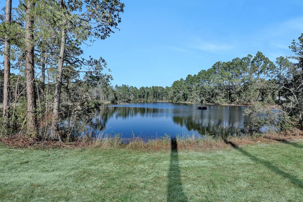 A grassy lawn leads to a small pond surrounded by a dense forest of pine trees — 141 WOODS ROAD, SAN MATEO, FL