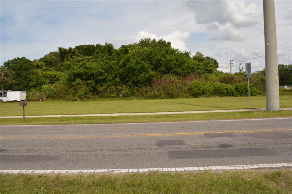 A flat, grassy vacant lot sits beside a paved road with a utility pole nearby — 0 BRISSON AVENUE AVENUE, SANFORD, FL