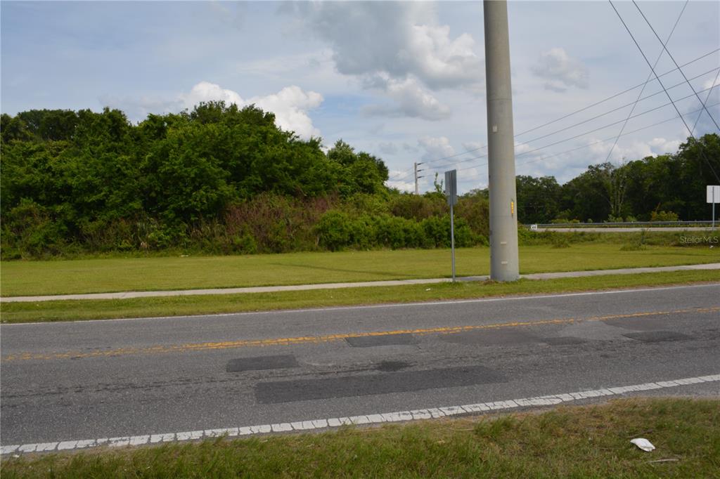 A grassy vacant lot sits beside a paved road with a utility pole in the foreground — 0 BRISSON AVENUE AVENUE, SANFORD, FL