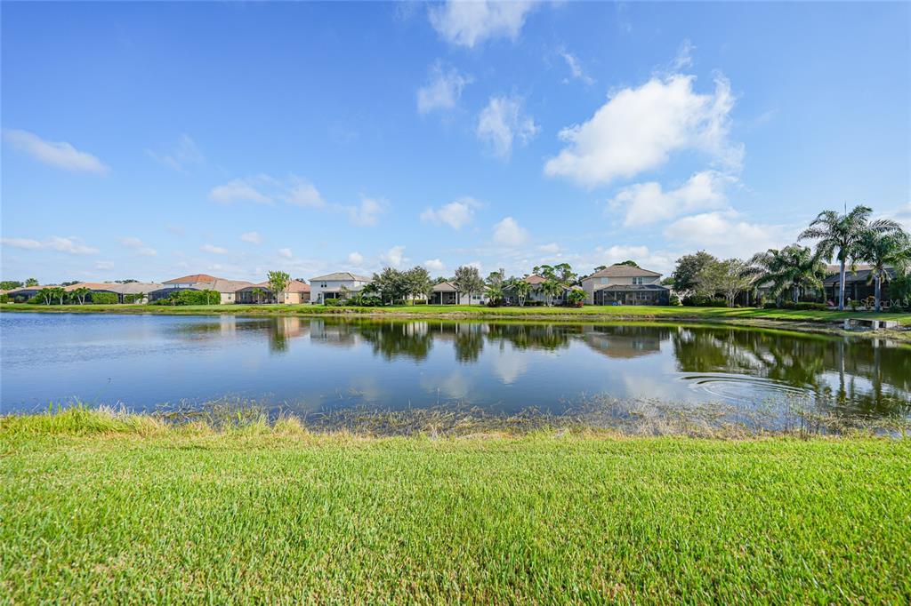 A view of a lake bordered by a grassy lawn and several suburban houses — 11720 SPOTTED MARGAY AVENUE, VENICE, FL