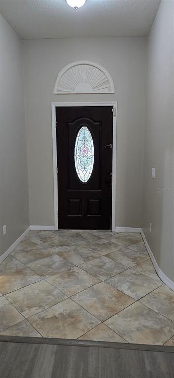 An entryway features a dark front door with a decorative glass insert and tile flooring — 1810 GREYSTONE HEIGHTS DRIVE, VALRICO, FL