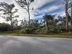 A paved road runs in front of a wooded, undeveloped lot with tall trees — 883 BOWMAN TERRACE, PORT CHARLOTTE, FL
