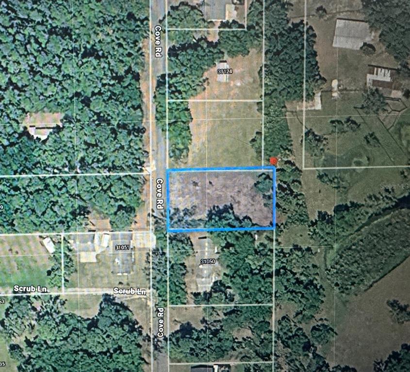 COVE ROAD, TAVARES, FL — photo 2 of 16