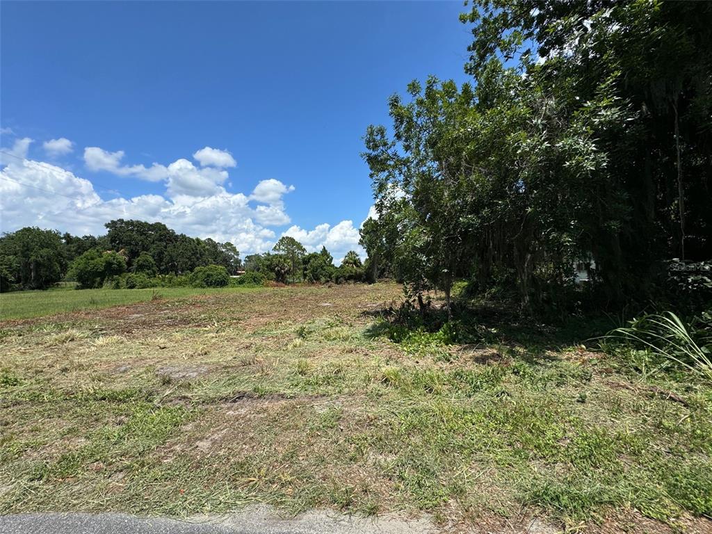 COVE ROAD, TAVARES, FL — photo 5 of 16