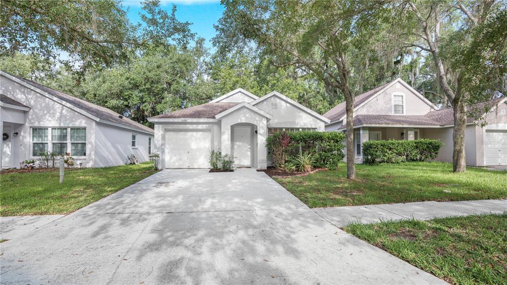 A single-story house with a white exterior, a garage, and a concrete driveway — 15120 DEER MEADOW DRIVE, LUTZ, FL