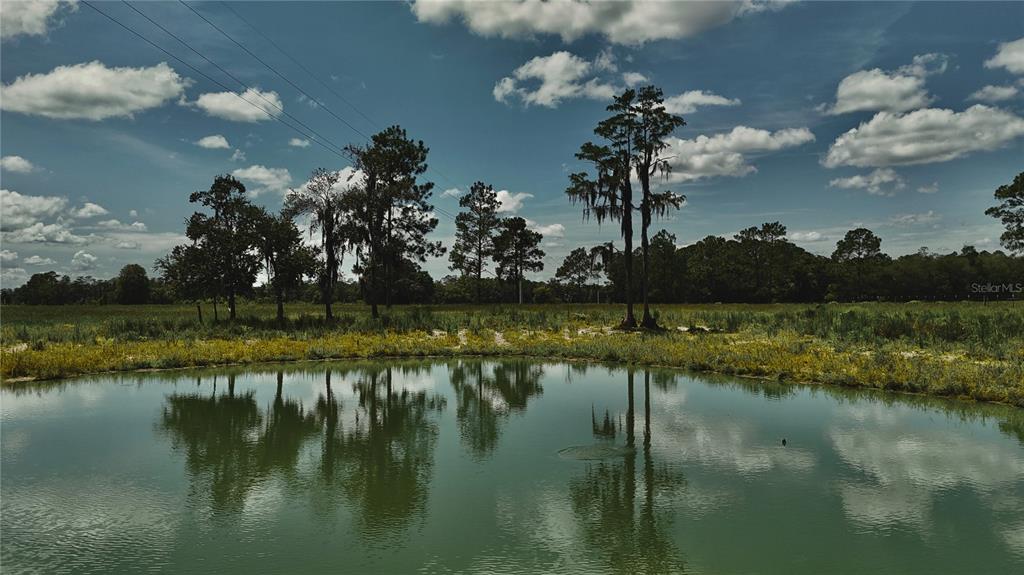 A small pond reflects trees and a cloudy blue sky in a grassy field — 4802 NW 50TH ROAD, STARKE, FL