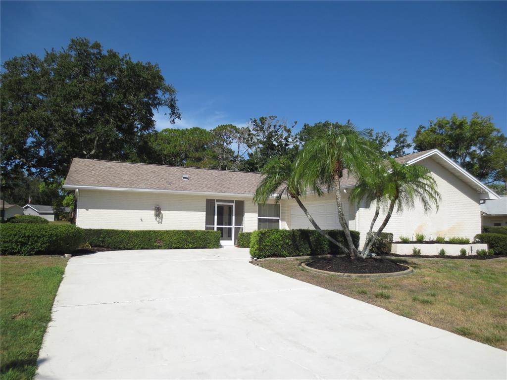 A single-story brick house with a concrete driveway, a palm tree, and manicured hedges — 3132 BRUNSWICK CIRCLE, PALM HARBOR, FL