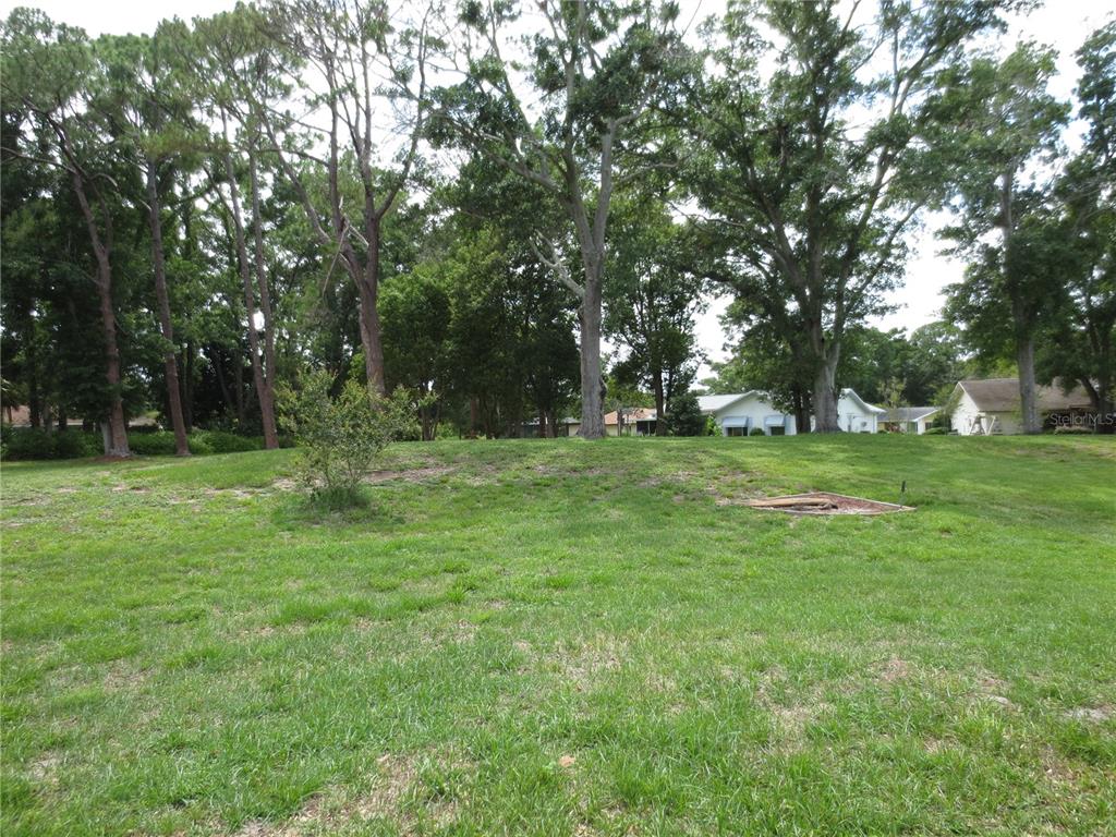 A grassy, slightly sloped lot features scattered trees and a small wooden structure frame — 3132 BRUNSWICK CIRCLE, PALM HARBOR, FL