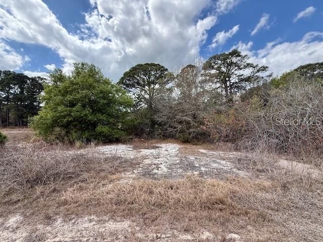 A vacant, partially cleared lot features exposed limestone rock, dry brush, and surrounding trees — 612 TWILIGHT DR LOT 31, LAKE PLACID, FL
