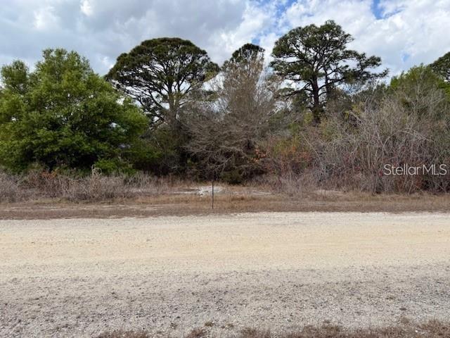 A gravel road runs in front of a wooded, undeveloped lot with tall pine trees — 612 TWILIGHT DR LOT 31, LAKE PLACID, FL