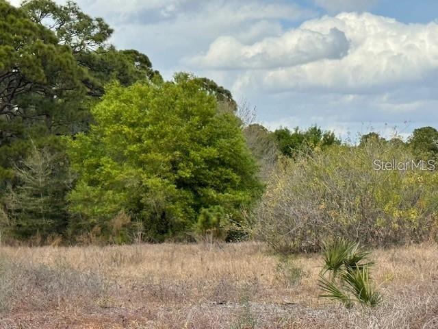 A view of a grassy, undeveloped lot with trees and shrubs under a cloudy sky — 612 TWILIGHT DR LOT 31, LAKE PLACID, FL