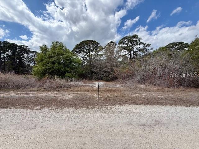 A gravel road leads to a vacant, wooded lot under a cloudy sky — 612 TWILIGHT DR LOT 31, LAKE PLACID, FL