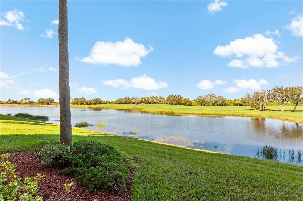 A view of a grassy lawn, a pond, and a golf course under a blue sky — 7121 RIVER HAMMOCK DRIVE UNIT 102, BRADENTON, FL