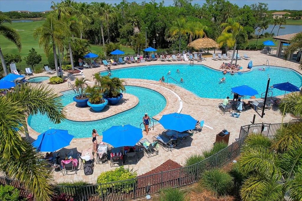 An aerial view of a resort-style swimming pool with lounge chairs and blue umbrellas — 7121 RIVER HAMMOCK DRIVE UNIT 102, BRADENTON, FL