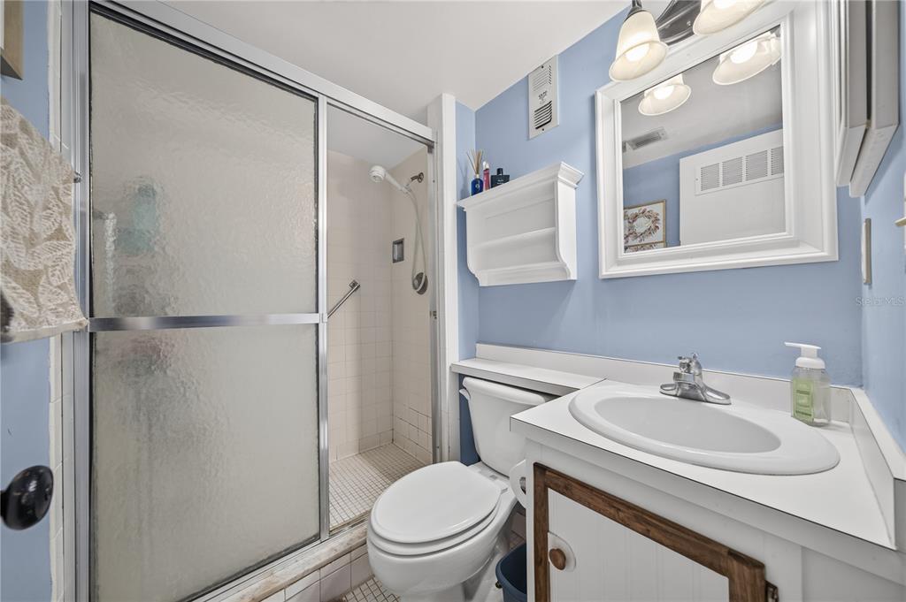 A bathroom features a walk-in shower, a white toilet, and a vanity with a mirror — 601 N MCDONALD STREET UNIT 2, MOUNT DORA, FL