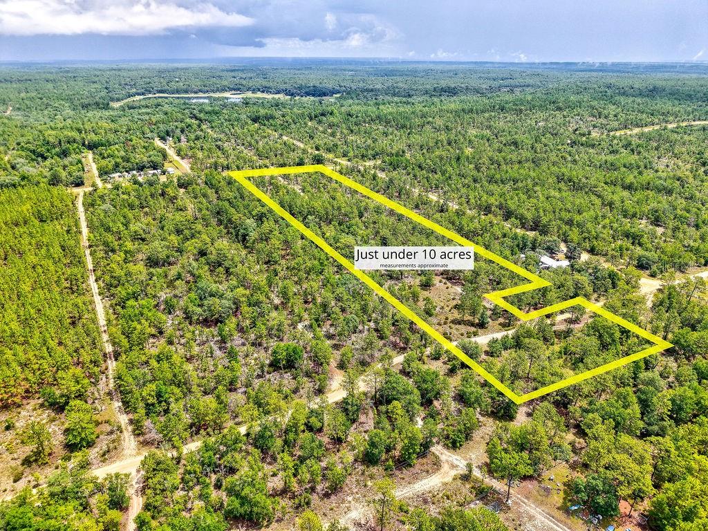 An aerial view shows a large, wooded plot of land outlined in yellow — 3011 MAIN STREET, HAWTHORNE, FL