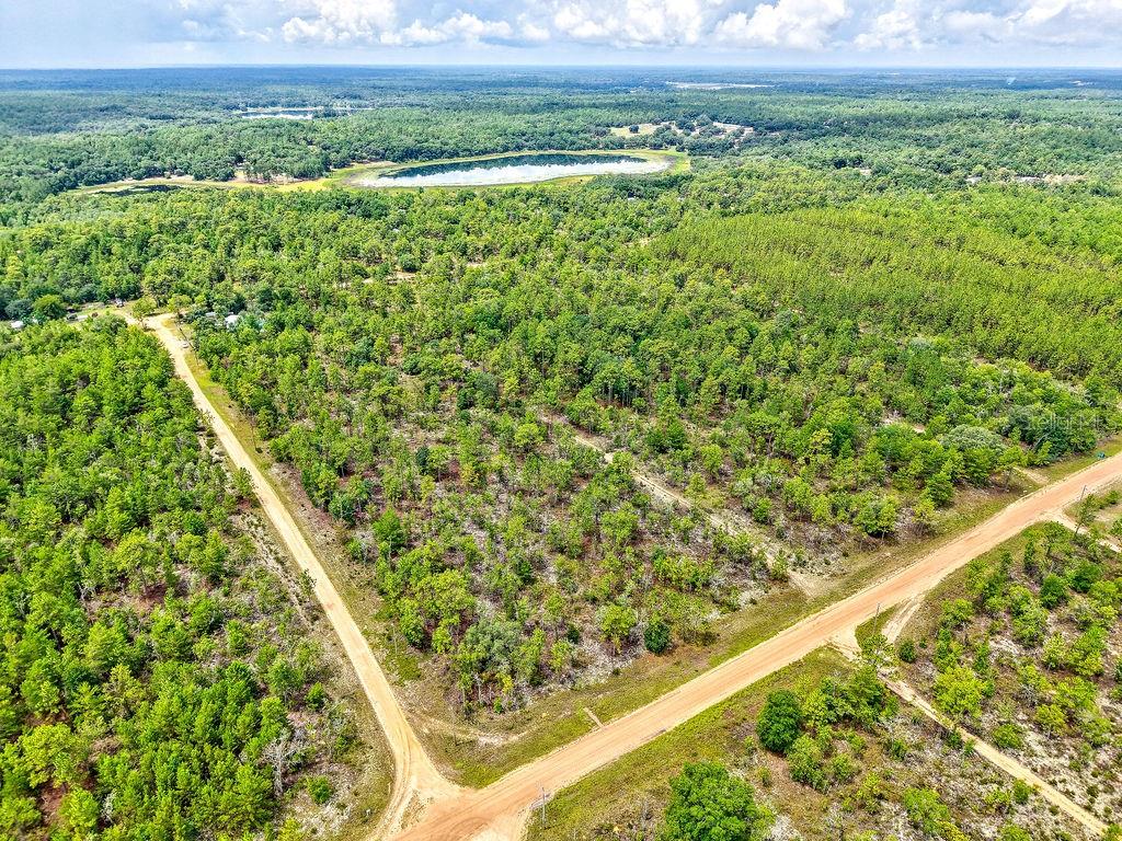 An aerial view shows a wooded, undeveloped plot of land bordered by two dirt roads — 3011 MAIN STREET, HAWTHORNE, FL