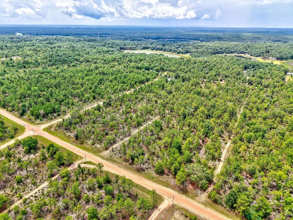 An aerial view shows a dirt road intersecting through a large, wooded, undeveloped rural lot — 3011 MAIN STREET, HAWTHORNE, FL