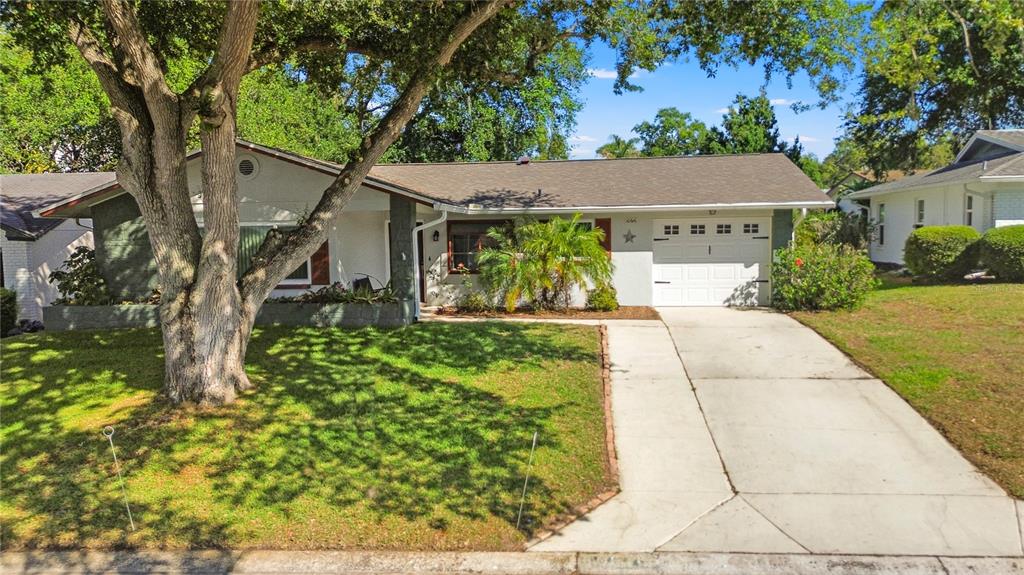 A single-story house with a white garage, a concrete driveway, and a large front tree — 10616 SPRINGWOOD DRIVE, PORT RICHEY, FL