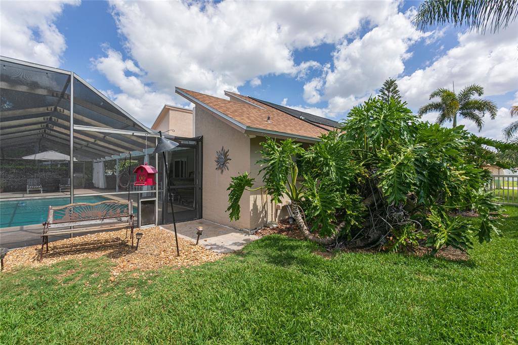A backyard features a screened-in pool, a patio area, and a large tropical plant — 6104 SCHOONER WAY, TAMPA, FL
