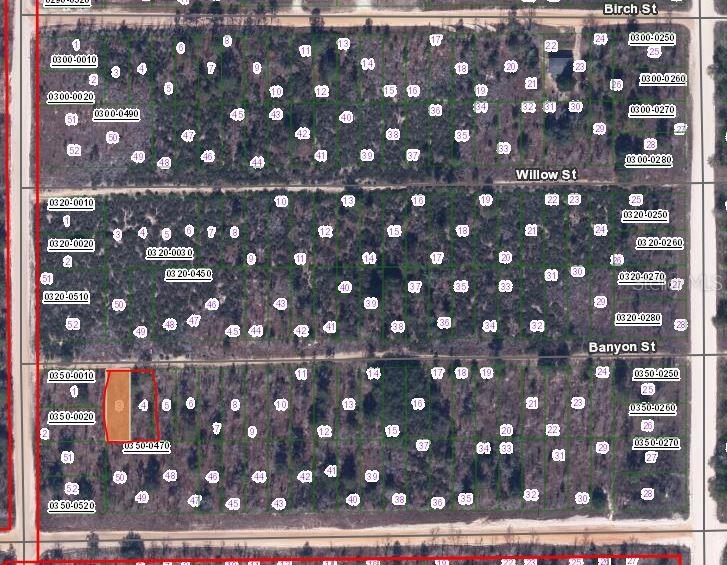 00 BANVON, INTERLACHEN, FL — photo 2 of 3