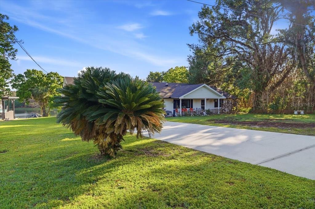 A single-story house with a concrete driveway and a large sago palm in the yard — 236 W LAKE INA DRIVE, WINTER HAVEN, FL