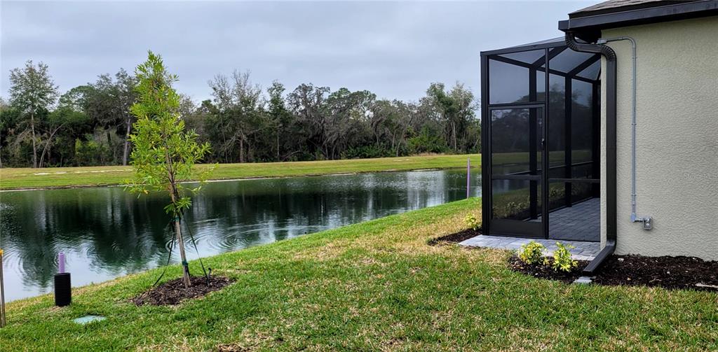 A screened-in patio overlooks a pond with a small tree in the foreground — 2168 GARDENIA AVENUE, PORT CHARLOTTE, FL