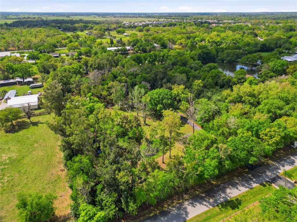An aerial view shows a wooded lot with a pond and a nearby residential road — 7336 CURLEW STREET, SARASOTA, FL