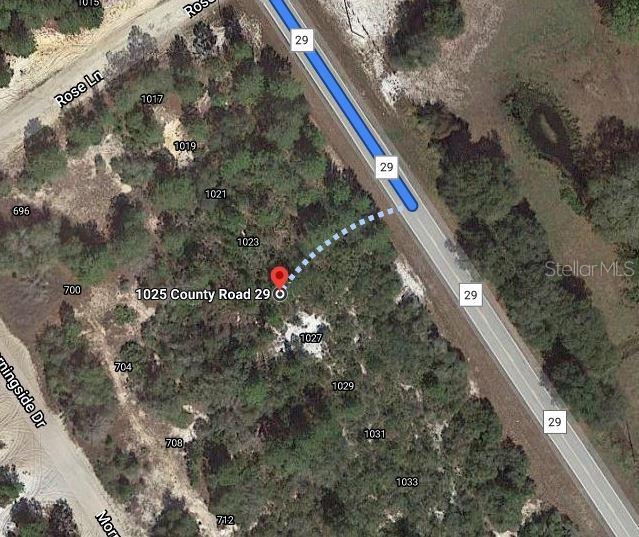 This is a satellite map view showing a wooded lot adjacent to County Road 29 — 1029 COUNTY ROAD 29, LAKE PLACID, FL