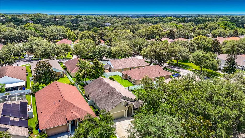 An aerial view shows several suburban houses with pitched roofs surrounded by dense green trees — 805 LESA GLEN PLACE, BRANDON, FL