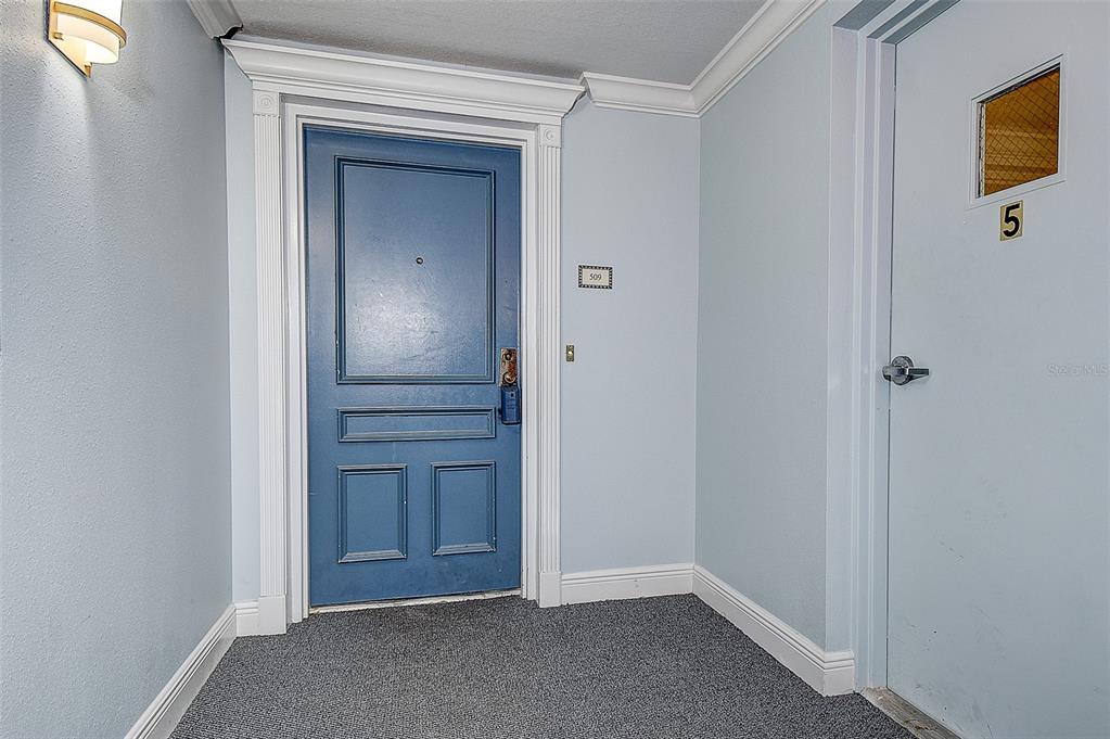 A hallway shows a blue apartment door labeled 509 next to a utility door — 5220 BRITTANY DRIVE S UNIT 509, ST PETERSBURG, FL