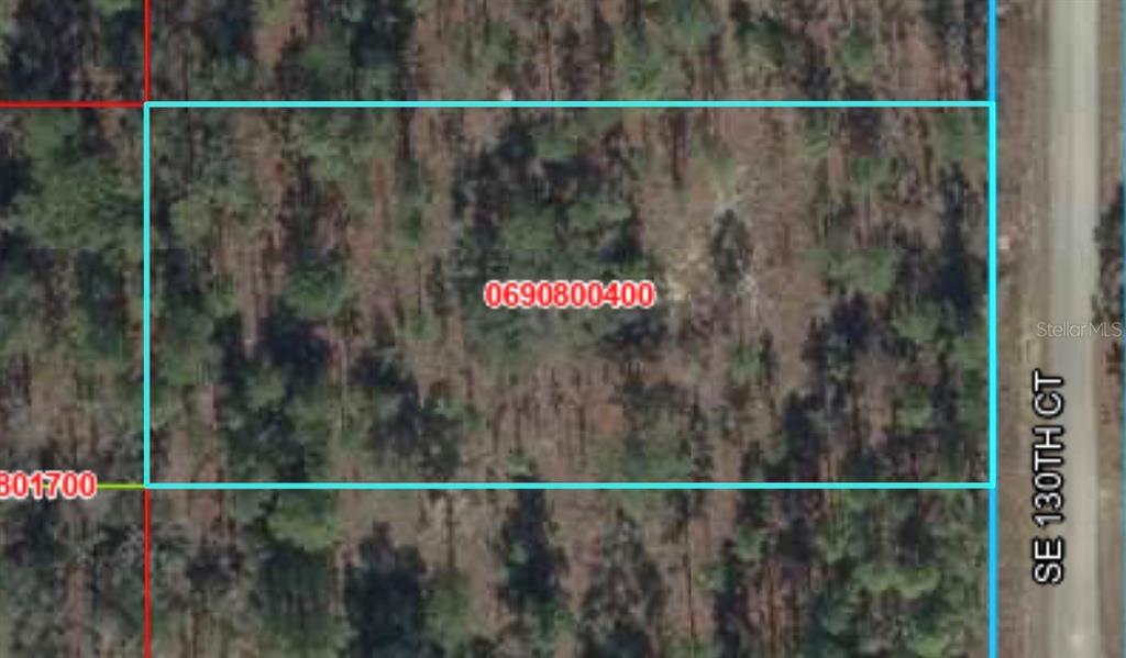 This is an aerial map view of a rectangular, wooded plot of land — Lot 5 SE 130 COURT, DUNNELLON, FL