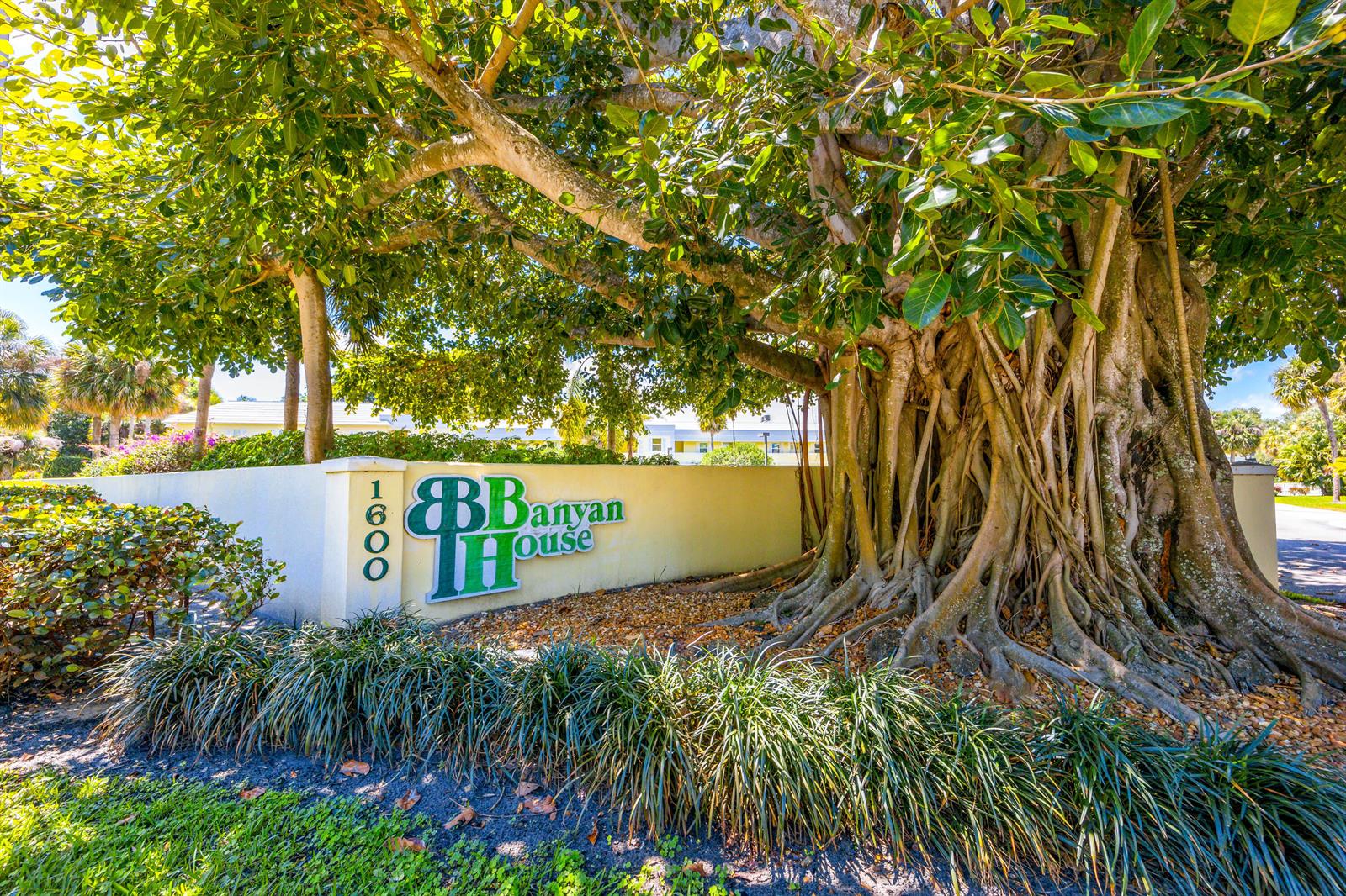 A large banyan tree shades a white wall with the Banyan House sign — 1600 SE Saint Lucie Boulevard # 205, Stuart FL 34996, STUART, FL