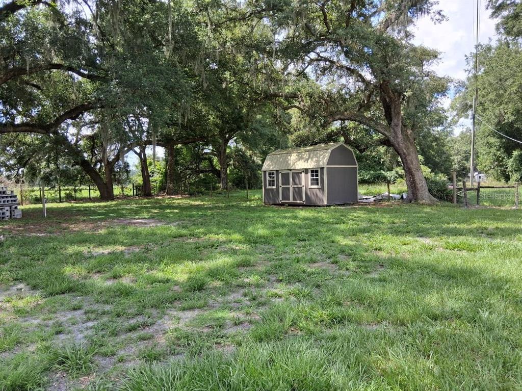 A small, grey storage shed sits in a grassy yard shaded by large oak trees — 10628 CR 771, WEBSTER, FL