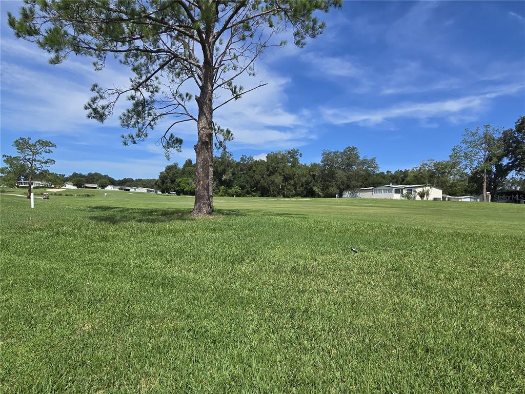A large, grassy field features a prominent tree in the foreground and distant houses — 4121 GREENBLUFF ROAD UNIT 1895, ZELLWOOD, FL