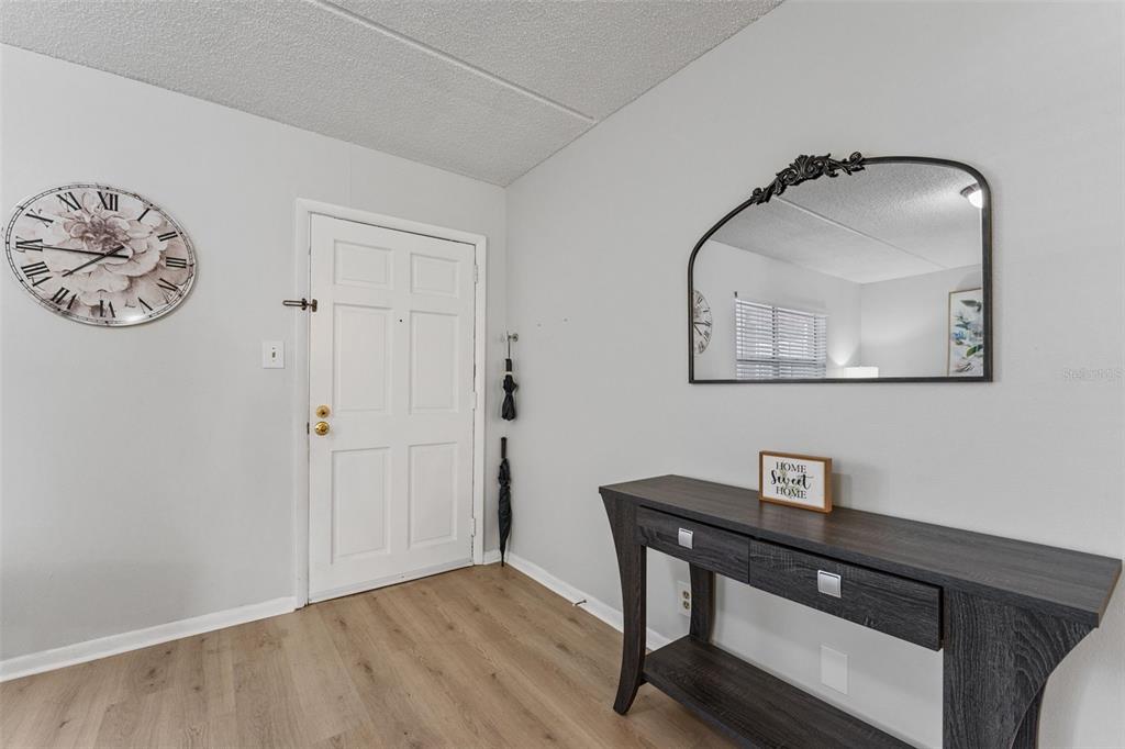 An entryway features light wood flooring, a white door, a console table, and a wall clock — 4724 MICHAEL COURT UNIT 123, TAMPA, FL