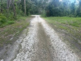 A gravel road leads through a wooded area toward a T-intersection — KARAGAN COURT, WEBSTER, FL